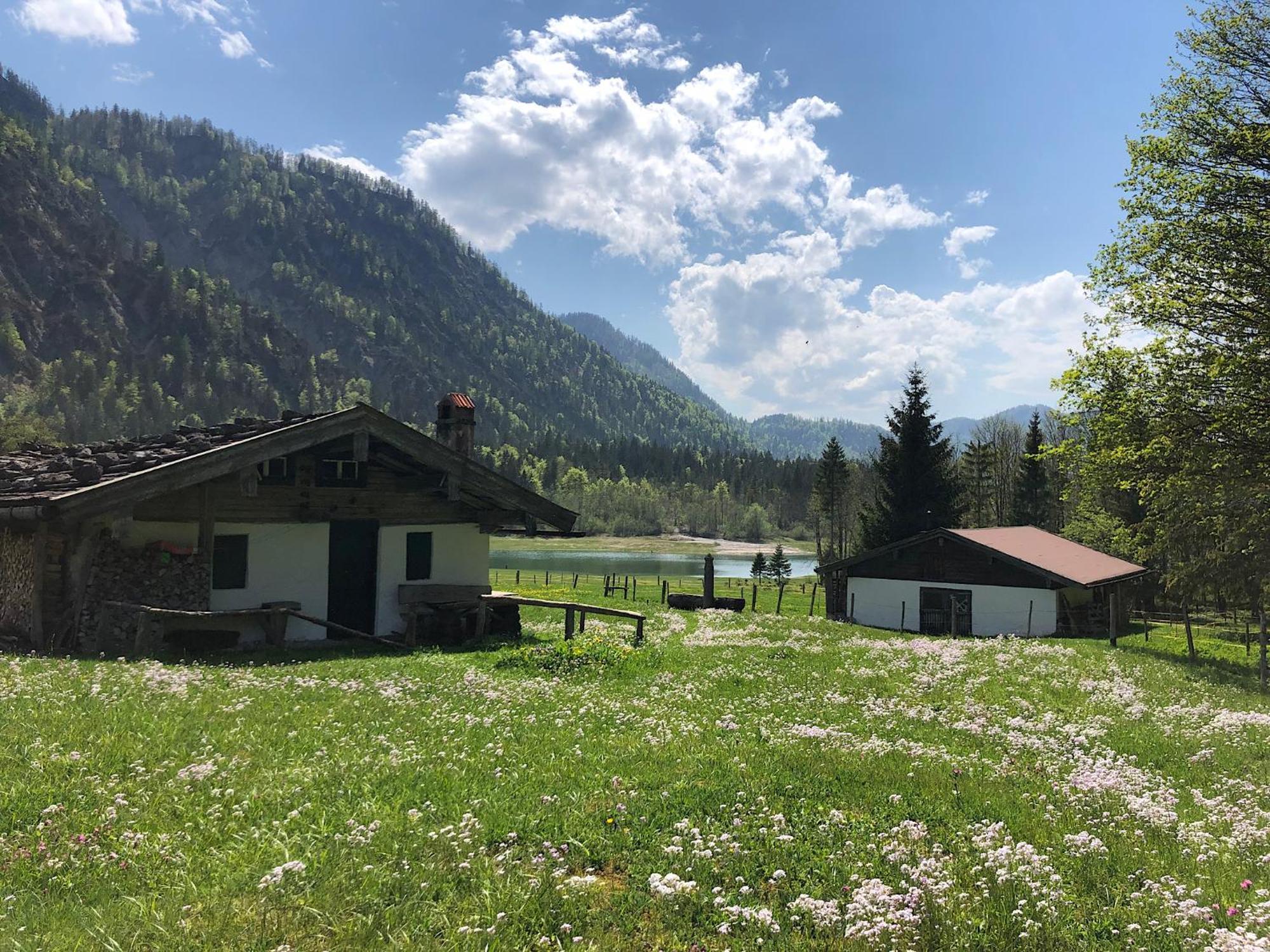 Ferienwohnung Eisenberger Inkl. Chiemgaukarte Ruhpolding Luaran gambar
